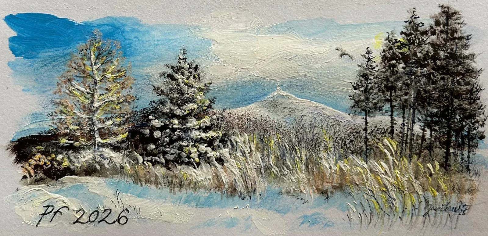 Krásné Vánoce a šťastný Nový rok 2026 všem členům a příznivcům DTJ